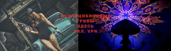 мяу мяу мука Балахна