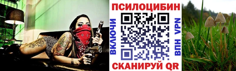 Галлюциногенные грибы Psilocybine cubensis Печора