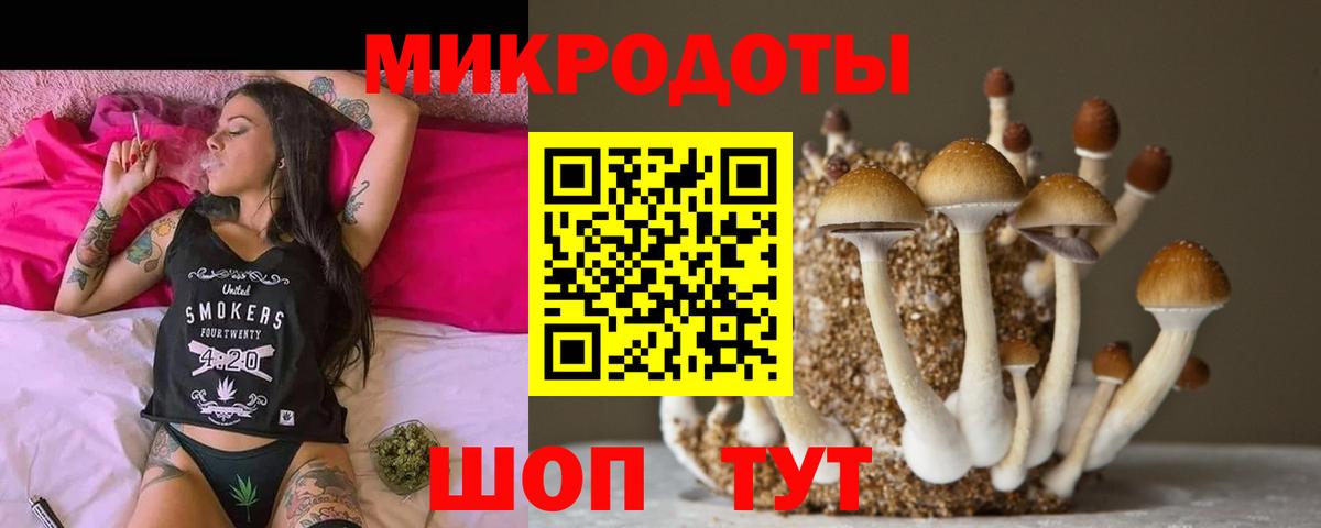 Галлюциногенные грибы Magic Shrooms Печора